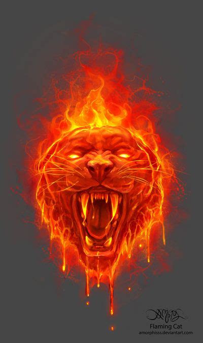 Flaming Cat By Amorphisss On Deviantart Flame Art Canvas Art Prints Art
