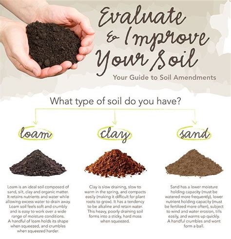 Evaluating And Improving Garden Soil The Homestead Survival Types