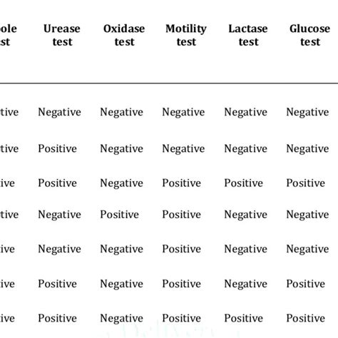 Antibiogram Of E Coli Isolates From Well Water Sources In Afikpo