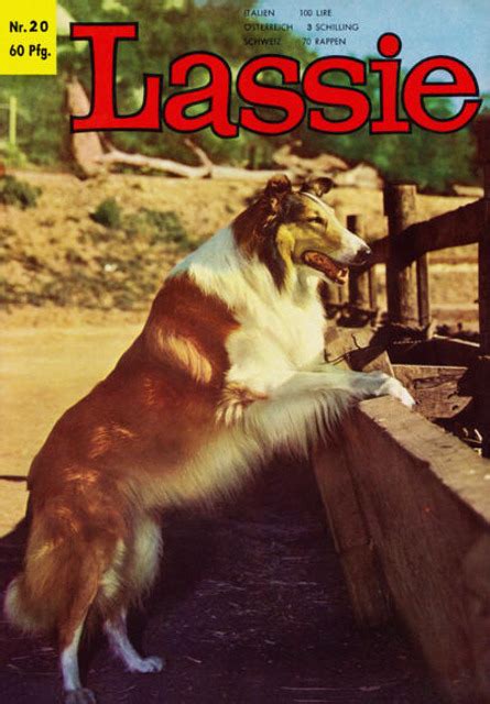 lassie 16 issue