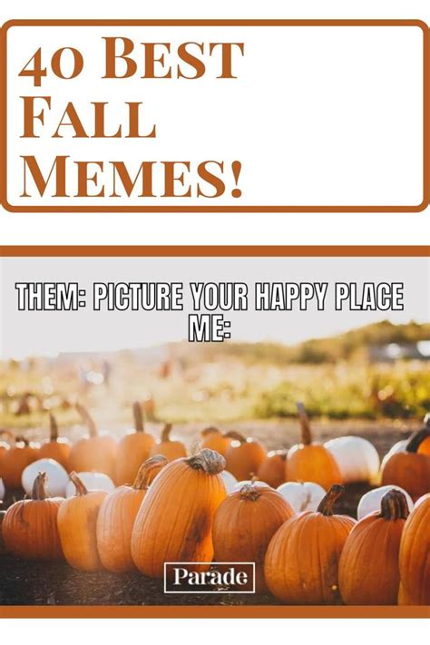 There Are Many Pumpkins On The Ground With Words That Say 40 Best Fall