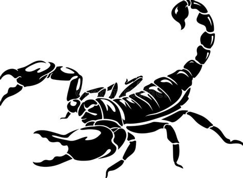 Schwarzer Skorpion Vektor Abbildung Illustration Von Tier 60854210