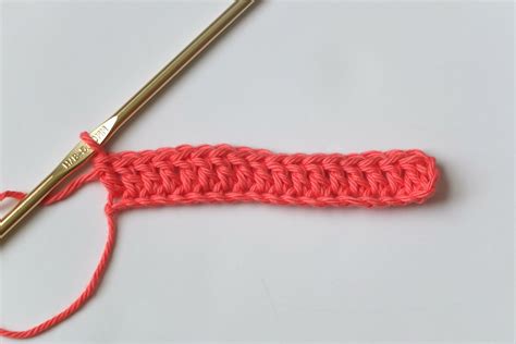 Double Crochet Stitch For Complete Beginners With Step By Step Photos