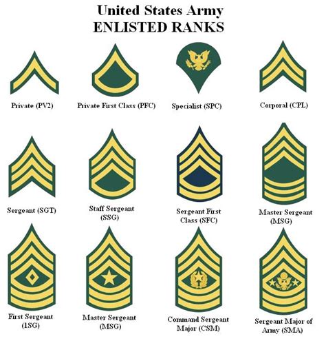 Cool Army Ranks In Order Lowest To Highest References