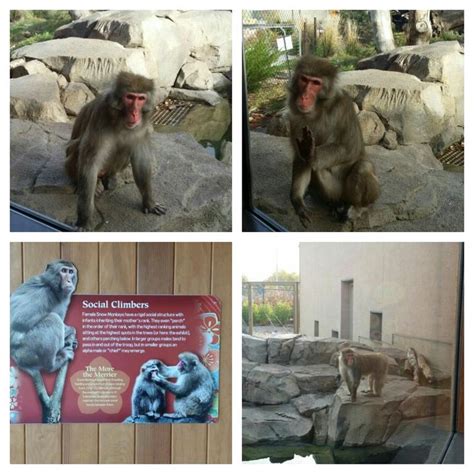 Great Plains Zoo And Delbridge Museum Of Natural History Located In