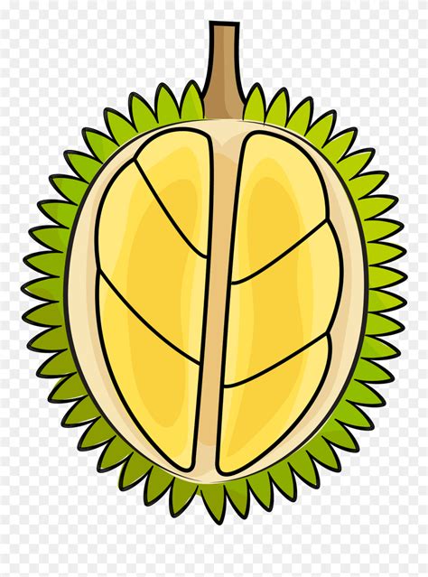 Durian Clipart Png Download 5459011 Pinclipart