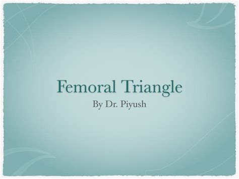 Femoral Triangle Ppt