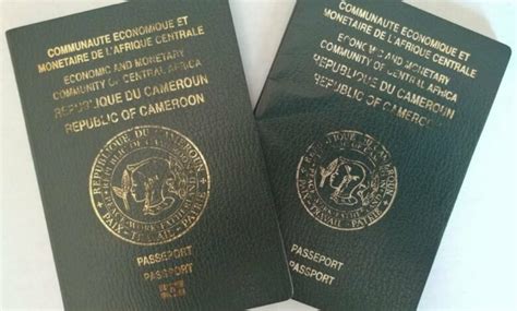 Le passeport camerounais donne accès à pays sans visas selon Henley Partners