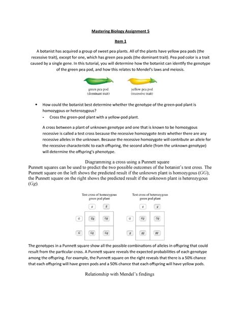 Each organism must inherit a single copy of every gene from both. Biology Section 11 4 Meiosis Worksheet Answer Key — db ...