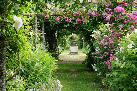 Où Voir Les Plus Belles Roses Détente Jardin