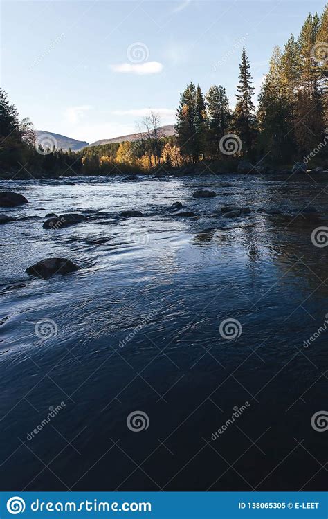 Forest River And Trees With Yellow Autumn Foliage Stock Image Image