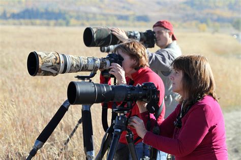 What is the use of telephoto camera? Wildlife photographers with big telephoto lens ...