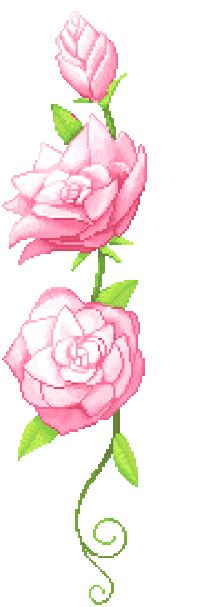 Animated  Blooming Roses 