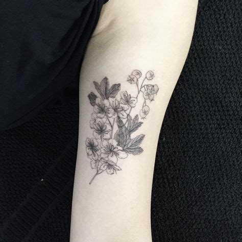 Cosmos flowers, wonderland tattoo and cosmos. Hawthorn flowers-MAY (With images) | Birth flower tattoos ...
