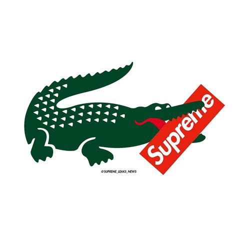 1080x1080 Lacoste Wallpapers Wallpaper Cave