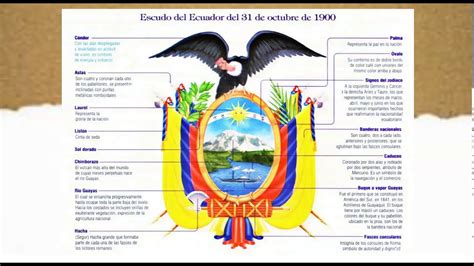 31 De Octubre DÍa Del Escudo Del Ecuador Youtube