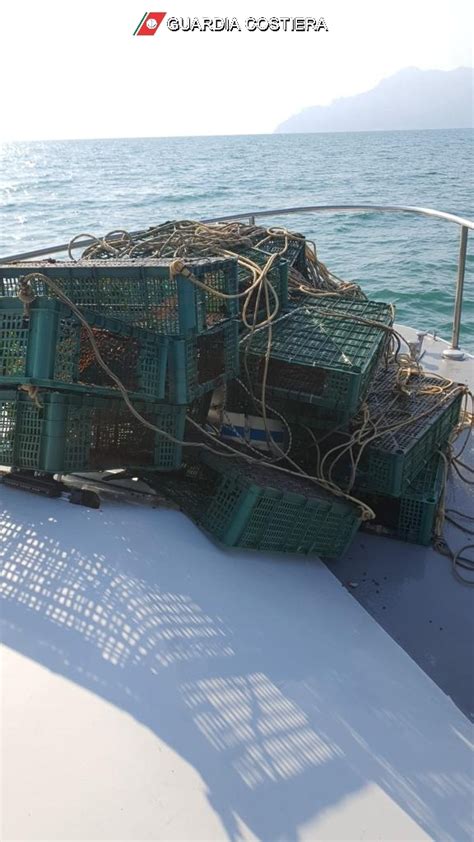 Pesca Illegale A Salerno 20 Nasse Scoperte In Mare Dalla Guardia