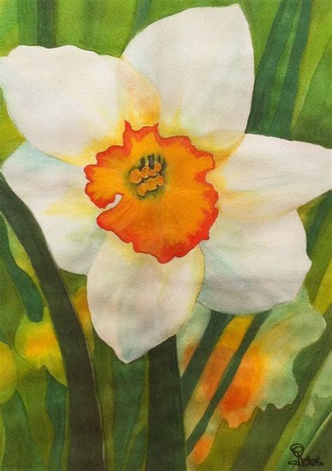 Daffodilwatercolorpaintings Found On Etsy Com Flower Prints Art