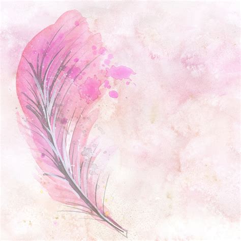 Ink Pink Feather Background Pink Feather Beautiful Background Image