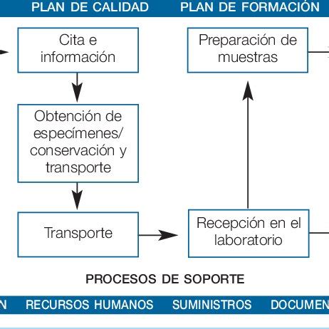We did not find results for: Enzimoinmunoensayo MEIA inmunométrico. | Download ...