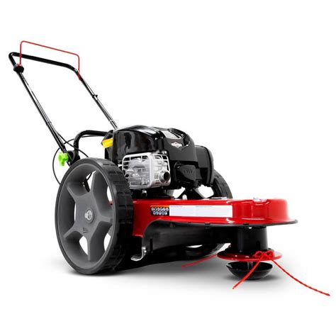 Earthquake 37676 22 In Cutting Width With 163cc Briggs And Stratton