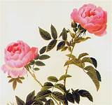 Images of Vintage Paintings Of Flowers