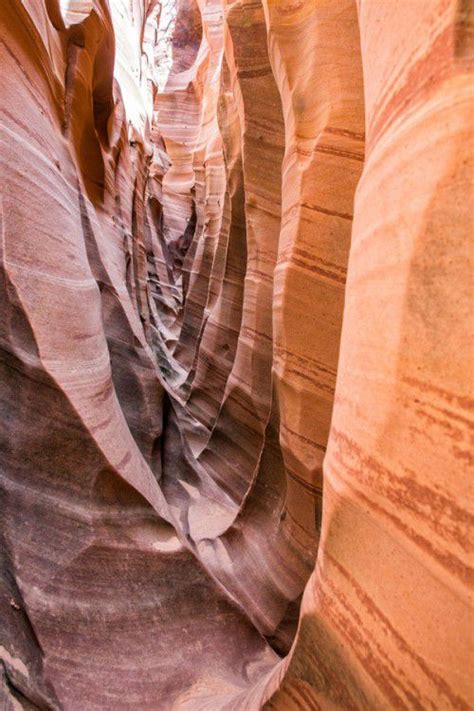 How To Hike Zebra Slot Canyon In Grand Staircase Escalante Earth Trekkers