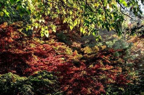 Der jährliche besuch des botanischen gartens ist ein muss! wdf - wupper digitale fotografie - Botanischer Garten RUB ...