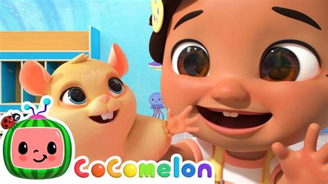 Jellybean Song Cocomelon Animal Time Animal Nursery Rhymes Youtube