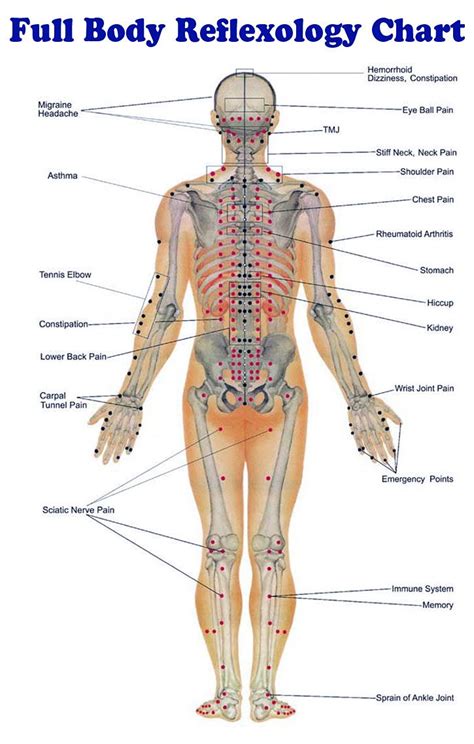 Body Reflexology Chart Body Reflexology Reflexology Massage Reflexology