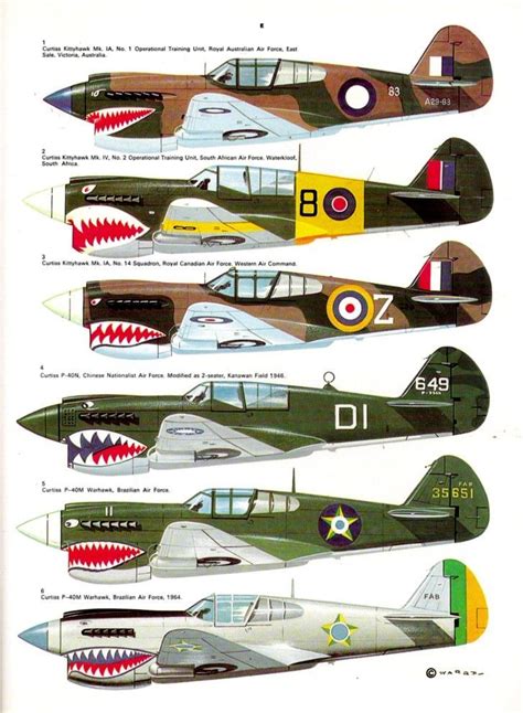 P 40 Ww2 Different Air Forces Wwii Airplane Aircraft Art Ww2
