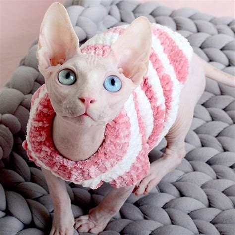 Wolly Cat Sweater Hairless Cat Sphinx Cat Clothes Handmade Etsy