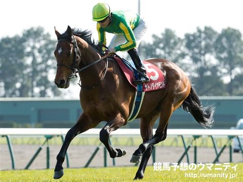 A mobile game for ios and android was scheduled to debut in late 2018 and then delayed to february 24, 2021. サトノダイヤモンド2013年産 - 競走馬データTOP｜競馬予想のウマ ...
