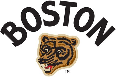Boston Bruins Logo Special Event Logo National Hockey League Nhl