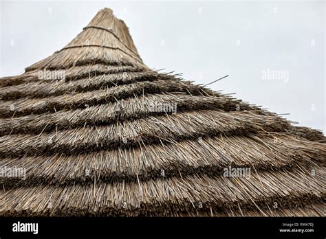 Bronze Age Thatched Roof Stock Photo Alamy