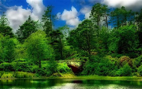 1920x1080px 1080p Free Download Lake Lakes Forests Hd Wallpaper