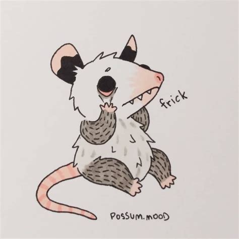 Cute Possum Drawing Easy Afilipinohopes