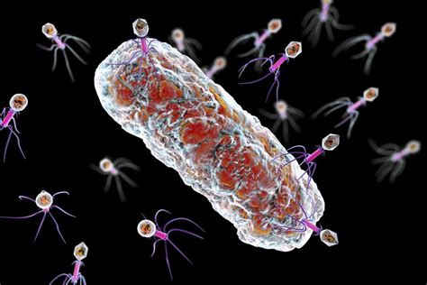 How long can a virus live outside a body? How Long Do Germs Live? And How to Get Rid of Them