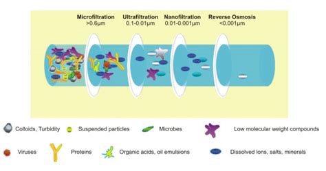 Principles Of Membrane Technology Pressure Driven Processes Pci