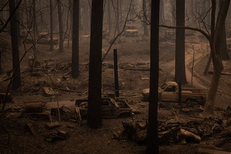 10 Dead In California As Wildfires Spread On West Coast The New York