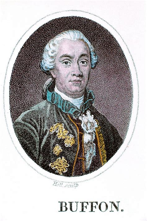 George Louis Leclerc Comte De Buffon Drawing By Print Collector Fine