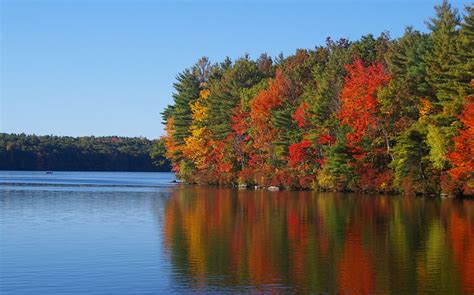 Autumn in Northern Minnesota: The Magical Escape - Minnesota Resort