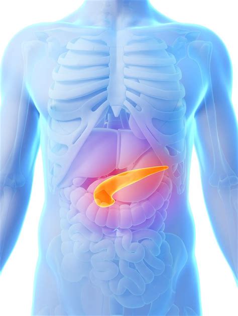.gastrointestinal endoscopy 내시경초음파 유도하 복강신경얼기 박리술 시행 후 마약 금단증상을 보인 췌장암 1예 a case of pancreatic cancer and opioid withdrawal after 금단증상을 보인 췌장암 1예. "췌장암, 이젠 겁먹고 포기하는 병 아니다"