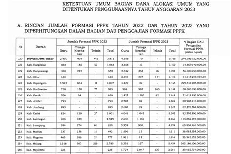 Rincian Formasi Pppk Dan Total Dau Untuk Gaji P K Kabupaten Kota