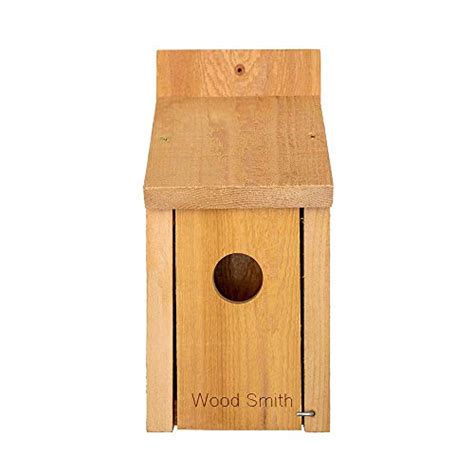 Swallow Bird House Best Practices For Building The Perfect Nest Incl