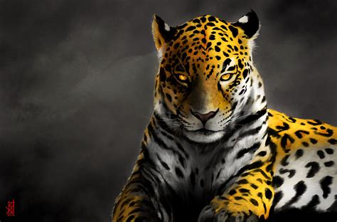 Cool Jaguar Wallpapers Top Free Cool Jaguar Backgrounds Wallpaperaccess