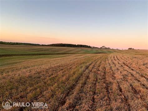 Converter Alqueires Em Hectares