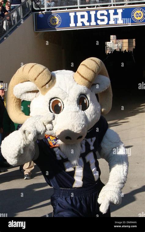 Navy Mascot Bill The Goat During Game Action Navy At Notre Dame At