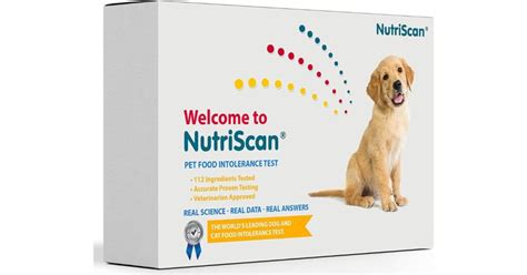 Best Dog Allergy Test Kits For Spaniels 2022 Features Price Buyers