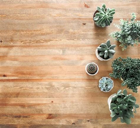 Parkett, laminat, fliesen, kork, stein, pvc, vinyl etc. Welcher Staubsauger für Parkett und Fliesen? 2019 - Top 5!